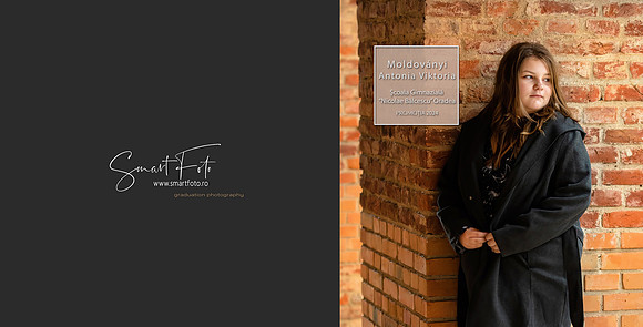 moldovanyi MODEL 33